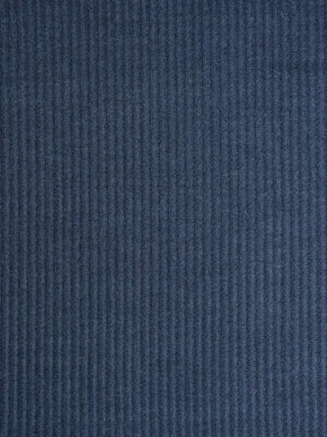 Hemp & Tencel Heavy Weight Corduroy Fabric (HL4949)